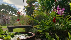 Een tuin met een vijver, verschillende planten en een stenen bank.