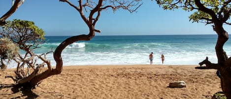 Sun-loungers, beach towels