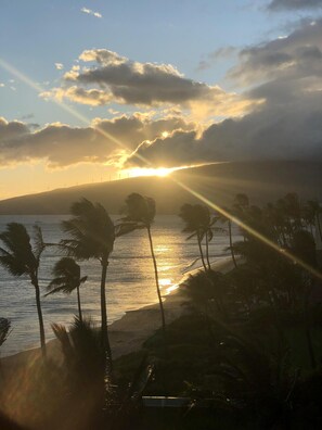 On the beach, sun-loungers, beach towels