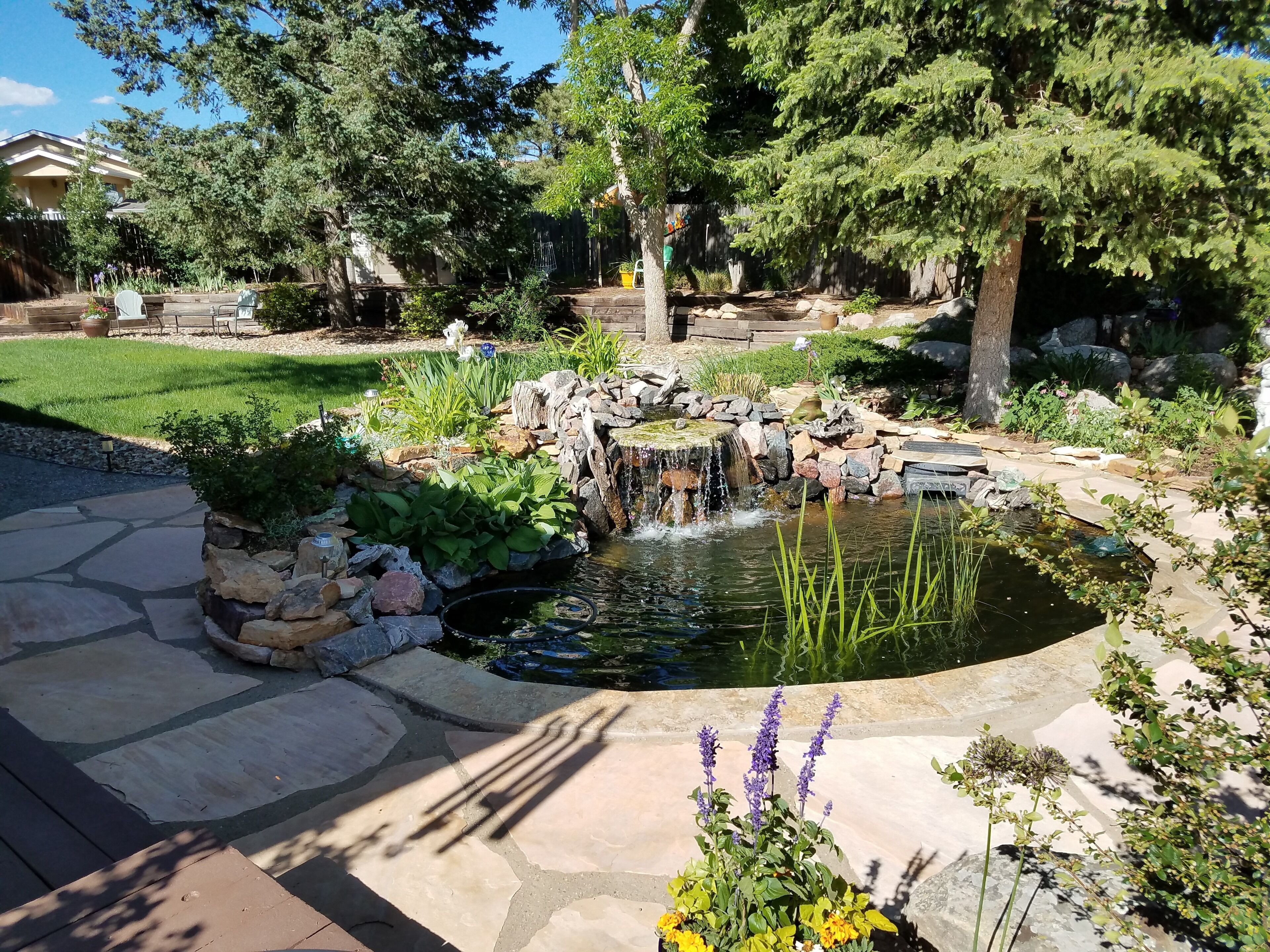 Terrein van de accommodatie