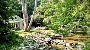 Un cadre extérieur paisible, avec un ruisseau, des rochers et une végétation luxuriante.