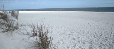 ビーチ、サンラウンジャー