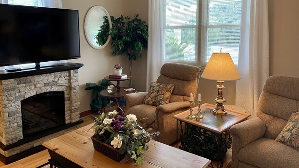 A living room with a fireplace, a television, two sofas, a coffee table, and a lamp. - River View Place / beautiful view (Fries)