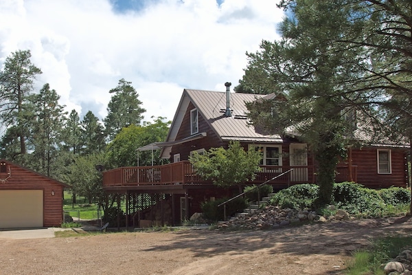 Adorable log cabin surrounded by beautiful trees and plants