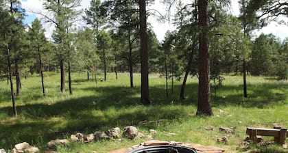 Perfect family cottage in Pines - 2 acre farm!