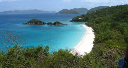 50 Yards From Sapphire Beach, Marina Is Walking Distance For Daily Activities