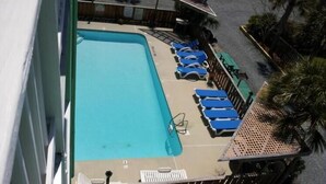 A rooftop pool with blue lounge chairs and a palm tree. - Carolina Beach Spectacular Views from Front & Back,  Pool & Wifi - Renovated (Carolina Beach)