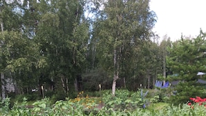 Un jardín con diferentes bancales de vegetales y plantas florecientes.