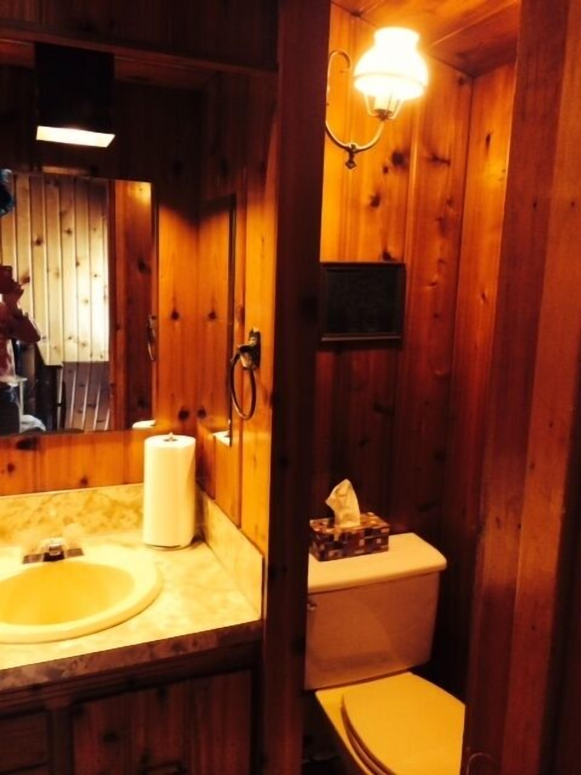 Une salle de bain rustique, aménagée dans une cabane en bois, avec un lavabo, des toilettes et un miroir.