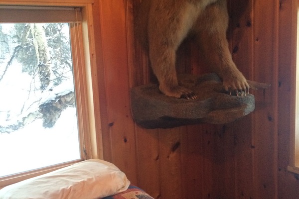 The bear bedroom faces the river. It has always been the guest room.