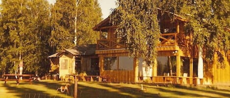 Exteriör