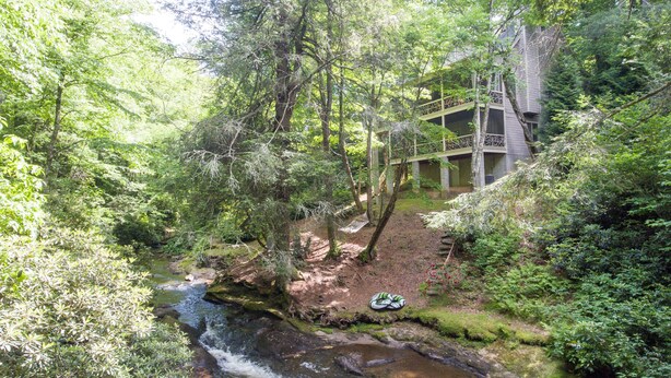 A natural setting with a stream, dense greenery, and a wooden bridge.