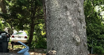 Sis’s Cottage - Southport, NC