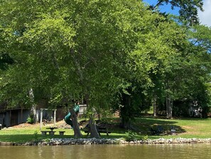 Property grounds - Newly Updated Lake Front Family-friendly Getaway on Lake Greenwood (Hodges)