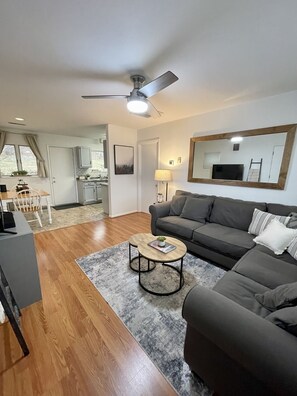 TV, books - Guest House overlooking the Valley (Lexington)