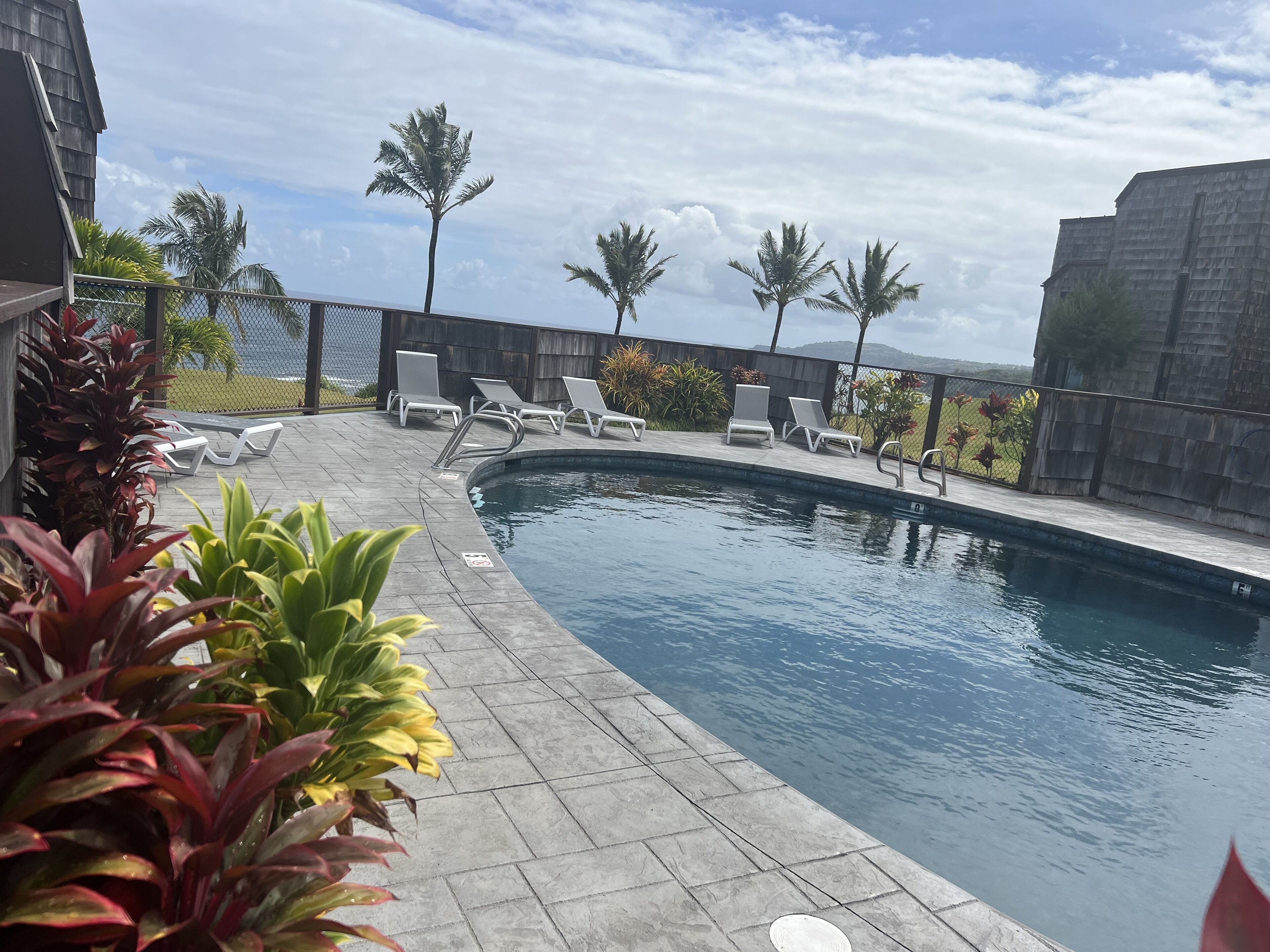 A swimming pool with lounge chairs, surrounded by plants and a fence.