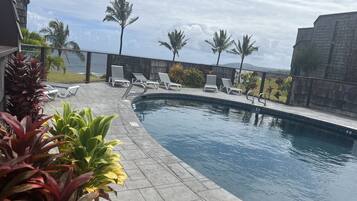 A swimming pool with lounge chairs, surrounded by plants and a fence.