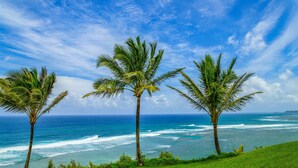 Un paisaje costero con palmeras y olas del océano.