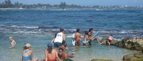 Cena de praia com pessoas na água e na areia, céu claro e uma linha de costa distante com edifícios.