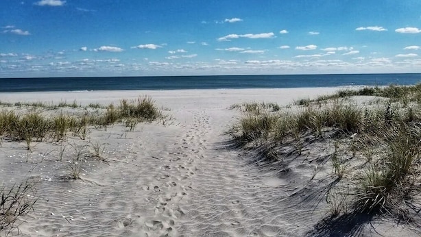 Una playa arenosa con dunas y un cielo azul despejado.