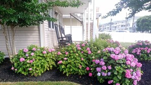 Un barrio residencial con una casa, un porche con sillas y un jardín con arbustos de hortensia.