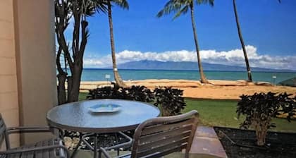 Ocean Front Studio Condo - Ground Floor, Walk Out Of The Unit And Onto The Beach
