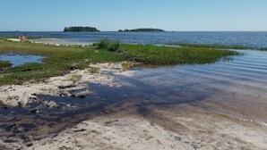 En strand med klart vatten, en avlägsen ö och lite vegetation.