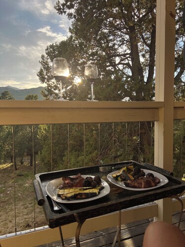 Ski House in Enchanted Forest-2 miles from Ski Apache road