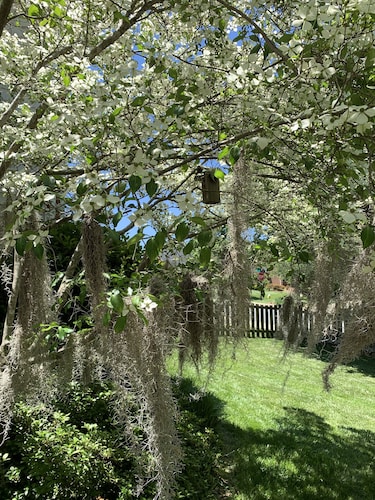 Lovely Home, Perfect location, Coliseum, Golf, HPU, Back Porch & Community pool