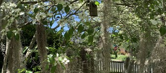 Lovely Home, Perfect location, Coliseum, Golf, HPU, Back Porch & Community pool