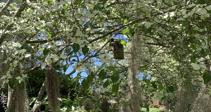 Lovely Home, Perfect location, Coliseum, Golf, HPU, Back Porch & Community pool