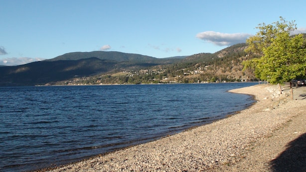 Une plage de galets offrant une vue dégagée sur un lac et des montagnes lointaines.