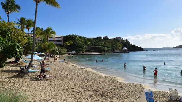 A beach with palm trees, sun loungers, and a clear blue sky. - Beautiful views, walk to Secret Harbour Beach (St. Thomas, VI)