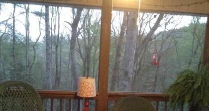 summer dates avail/classic updated Intowncottage/pets ok/great screenporch&deck