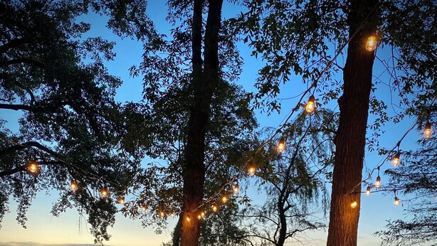 A serene lakeside setting with string lights, trees, and a hammock. - Relaxing Lakefront Cabin, Family + Lake + Dock + Sunset + Be Here, All Year Fun! (Watertown)