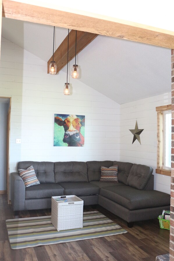 Älytelevisio, takka, DVD-soitin, musiikkikirjasto