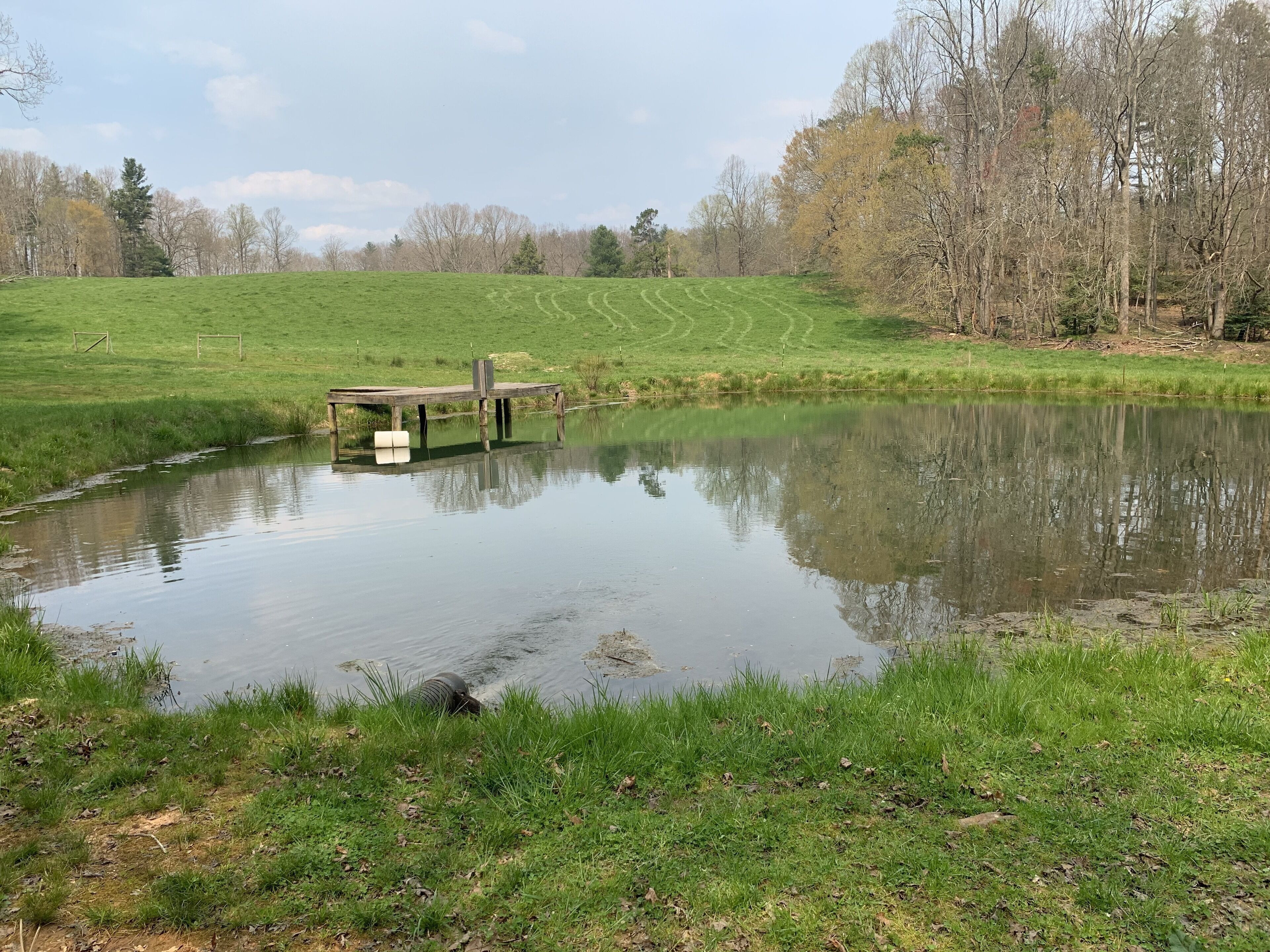 A pond with a wooden dock and a grassy field in the background.