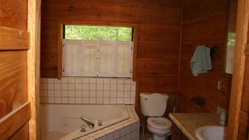 Bathtub, jetted tub, hair dryer, towels