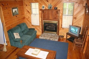 Smart TV, fireplace, DVD player
