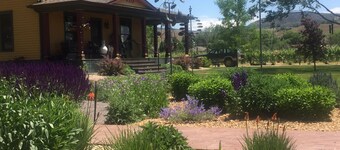 LARGE HOUSE - Perfect for groups! In the middle of WINE COUNTRY - WALK TO TOWN!