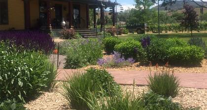 LARGE HOUSE - Perfect for groups! In the middle of WINE COUNTRY - WALK TO TOWN!