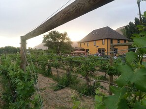 Boendeområde