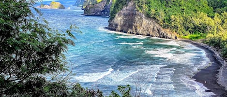 Serviettes de plage