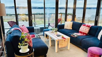 Smart TV, lareira, videogames, DVD player