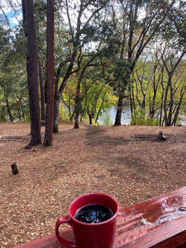 A red cup on a wooden bench in a wooded area with a lake in the background.