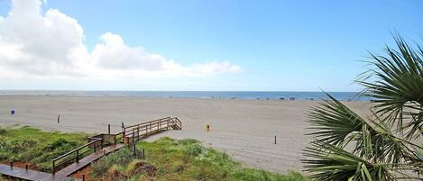 بالقرب من الشاطئ