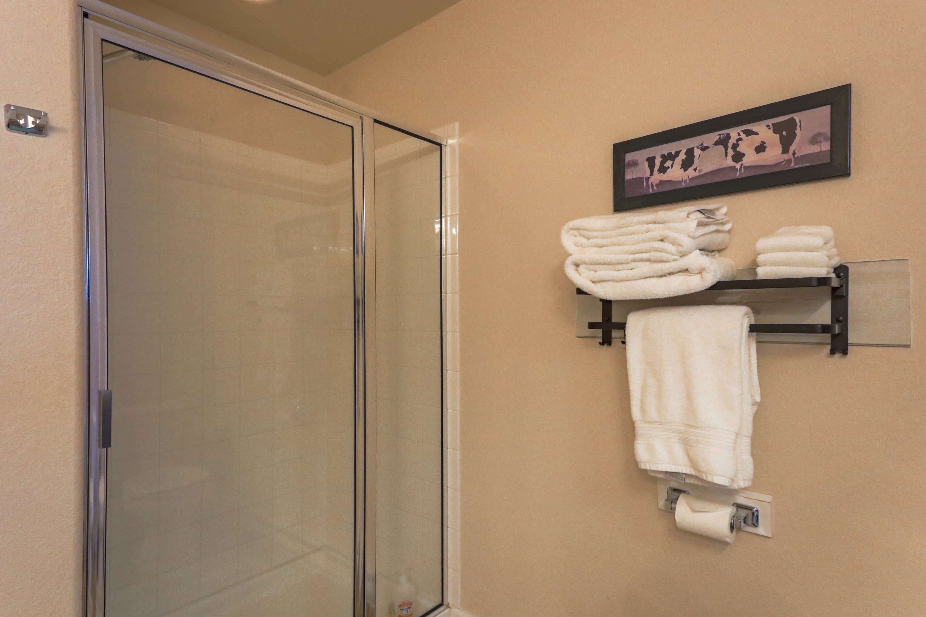 Une salle de bain avec une porte de douche en verre, un porte-serviettes avec des serviettes pliées et un tableau encadré au mur.