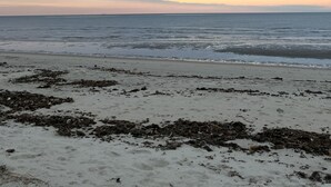 A beach with a wide sandy area and a view of the ocean under a cloudy sky. - 3 Br Cottage right on beach - Beautiful view of beach/water - Pets welcome! (Prime Hook Beach)