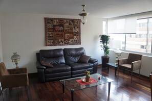 TV, DVD player, books