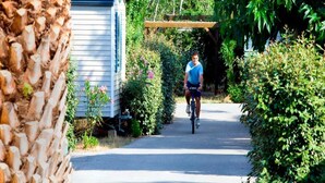 Une personne à vélo circule sur un chemin pavé, entourée d’une végétation luxuriante et d’un petit bâtiment.